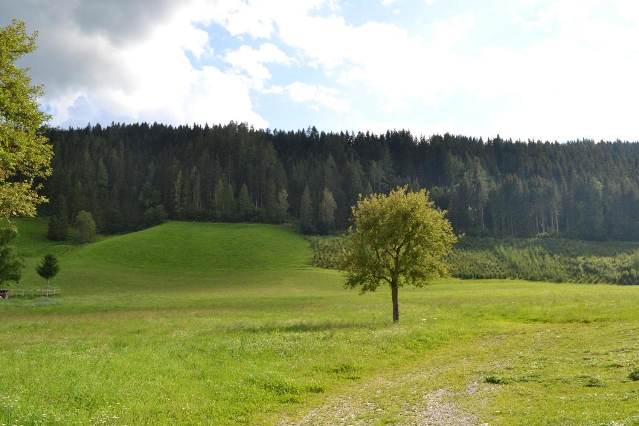 Ferienwohnung Ertlerhof Ranten エクステリア 写真
